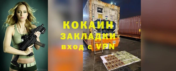 гидра Аркадак