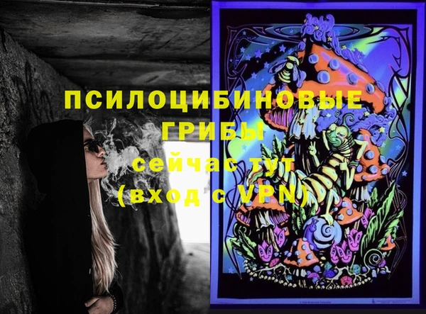 гидра Аркадак