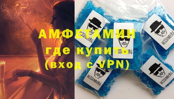 гидра Аркадак