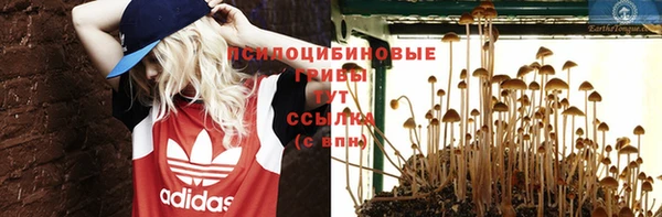 мяу мяу мука Армянск