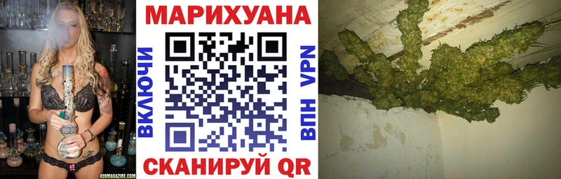 Купить закладки  Рассказово  Канабис семена 